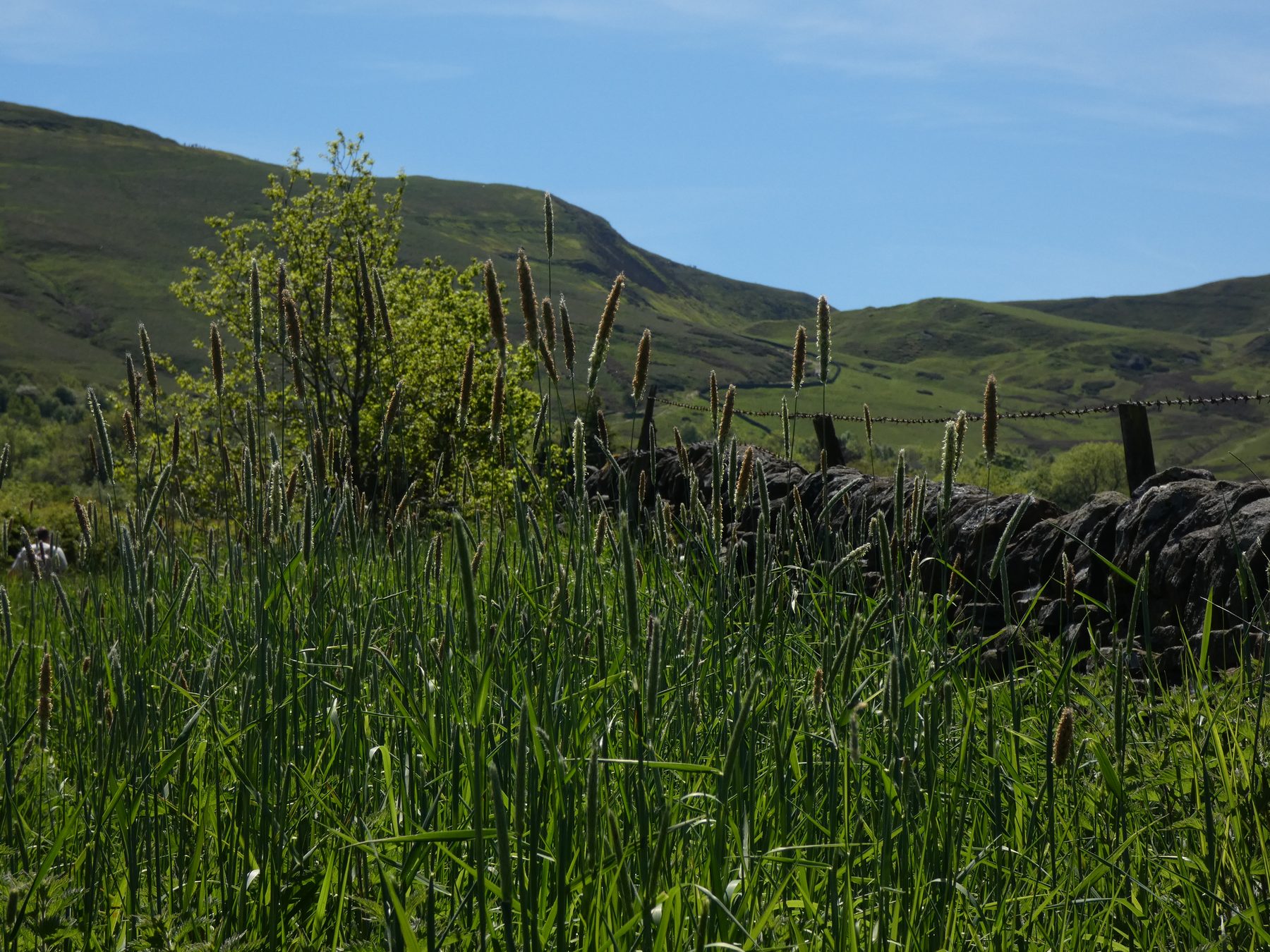 Summer — Peak District, Derbyshire