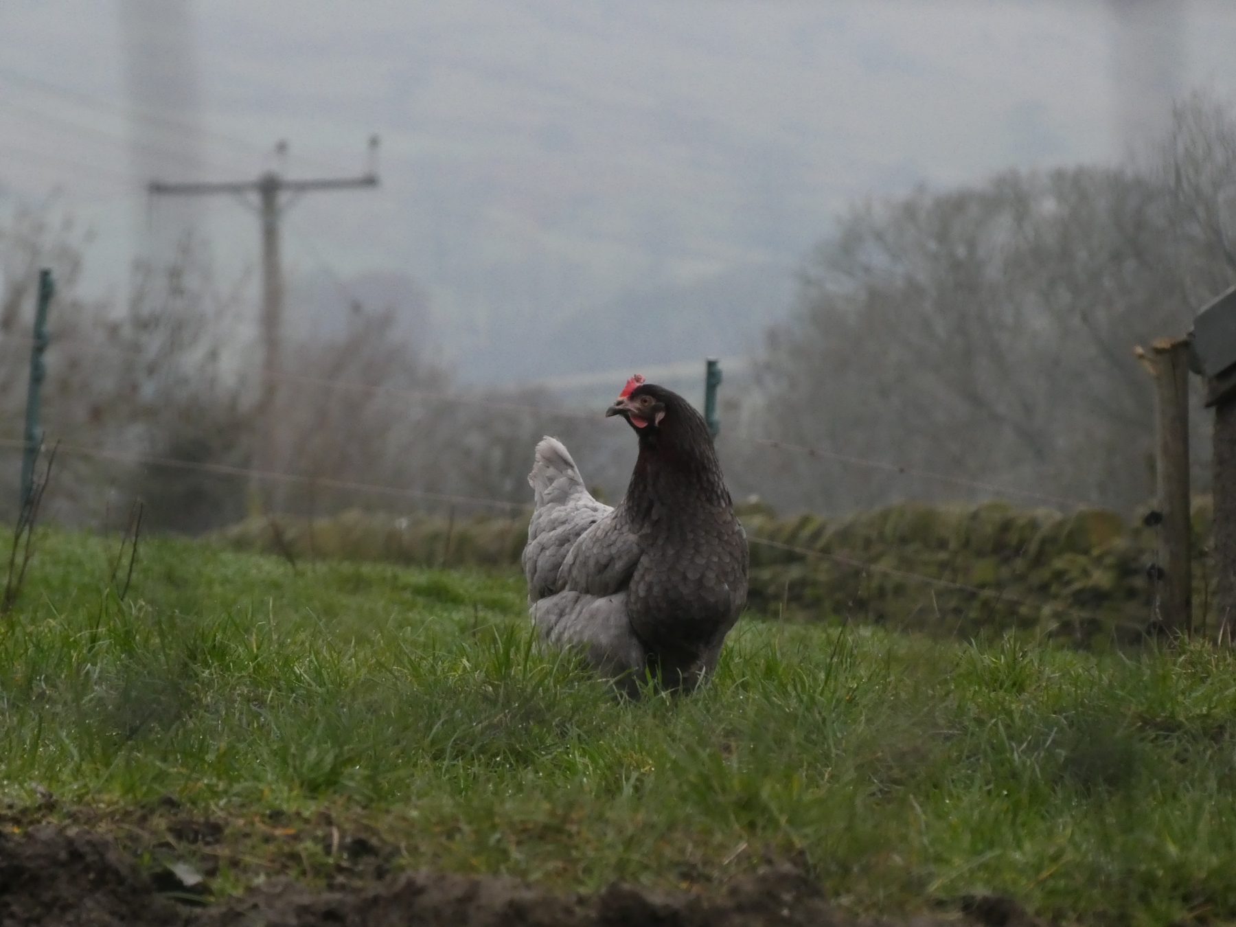 Proud — Peak District, Derbyshire